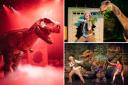 On Wednesday, February 14, 2024, the Croydon’s Ashcroft Theatre will come alive with prehistoric wonders at 2pm and 4.30pm