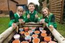 Pot luck: Kids in Sutton are set to get a Big Lottery Fund boost