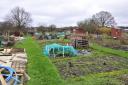 Barnett Wood Lane Allotments, part of the proposed 32-acre site