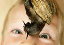 Mum's the word with Angellica Bell: My son's slimy snails are testing my tolerance