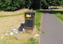Locals regularly complain about overflowing bins in Westow Park (photo: Tara O'Connor)