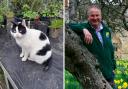 A cat from Surrey has been reunited with his owners with the help of a Croydon charity six months after going missing.