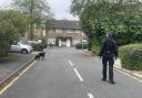 A police sniffer dog sweeps through the streets around the police cordon in Hainault, where a 14-year-old boy was killed in a sword attack