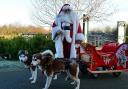 Children can meet huskies and Santa at London Wetland Centre