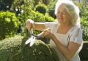 Shape up for summer: Manicure your garden