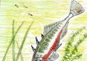 Nature Notes: A fishy tale