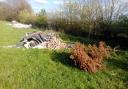 Flytipping - Christmas tree in April