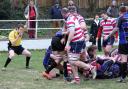 In there somewhere: Hugo Ellis gets over the line to add another five points to Park's tally                Pictures: David Whittam