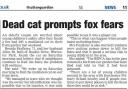 Letter to the Editor: Cats v foxes