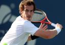 One man team: Andy Murray won GB the Davis Cup, but who will take his place?