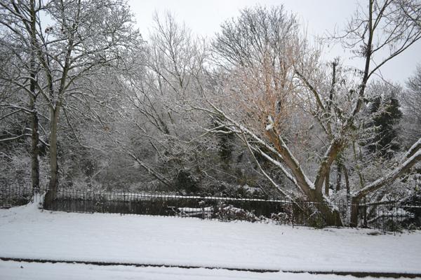 The nature island in Carshalton
- Sent in by Samantha Cameron