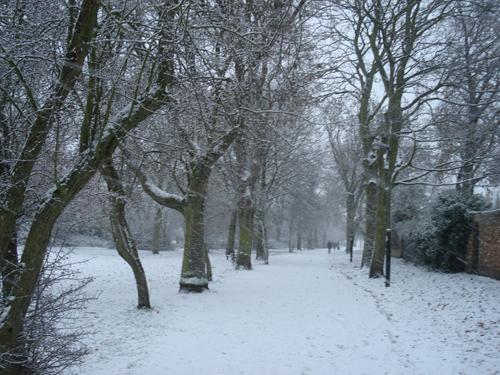 The snow in Wandsworth on December 18. Picture by Roger Parkes.
