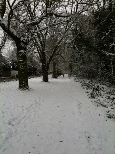 Snow at Wimbledon Common. Picture by Jamie Trueman.
