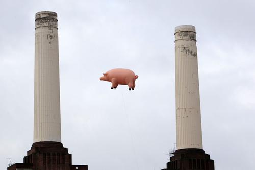 The PInk Floyd pig returns to Battersea Power Station, almost 35 years after album cover photo shoot.