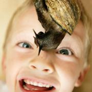 Mum's the word with Angellica Bell: My son's slimy snails are testing my tolerance