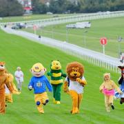 Mascots race at Epsom Downs race course