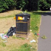 Locals regularly complain about overflowing bins in Westow Park (photo: Tara O'Connor)