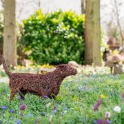 Willow sculptures of the Queen’s beloved dogs Beth and Bluebell are to make an appearance at the Chelsea Flower Show this year.