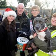 Beddington Wildlife Centre holds its Christmas fair