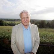 Urgent: Sir David Attenborough will have a pacemaker fitted today
