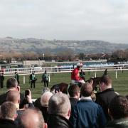 The New One parades prior to the Champion Hurdle