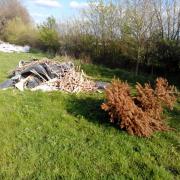 Flytipping - Christmas tree in April