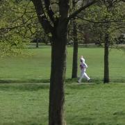 Something bunny going on in Clapham Common