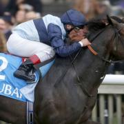 Kingston Hill and jockey Andrea Atzeni, pictured here winning the Autumn Stakes, have been tipped to win this year's Derby by the Amato pub's wishing well