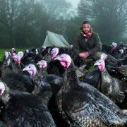 JLS star JB Gill has become a turkey farmer. Picture by John Alevroyiannis