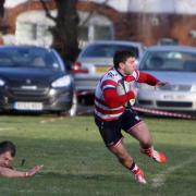 Coming through: Luke Carter in action during Rosslyn Park's weekend win over Blaydon             Picture: David Whittam