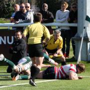Try as you might: Alex MacKenzie goes over for Rosslyn Park's sole try in a 19-15 win at Ealing Trailfinders    Pictures: David Whittam
