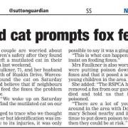 Letter to the Editor: Cats v foxes