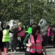 VIDEO: Is the Seething Sardine festival London's most bizarre community fun day?