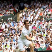 Winning mentality: Andy Murray must maintain that winning feeling
