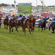 On the up: Increased prize money has raised interest in the yearling entry stage for next year's Investec Derby