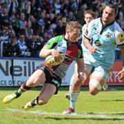 Scholar of the game: Quins winger Tom Williams has learnt a lot from his time as a player under Stoop chief Conor O'Shea