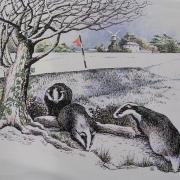 Nature notes: Badgers in the snow