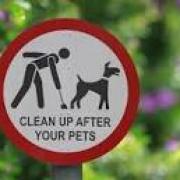 Tarmac isn't the answer for dog poo