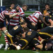 Rivalry: Esher and Rosslyn Park go head to head this weekend            Picture: David Whittam
