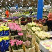 Go behind the scenes at New Covent Garden Flower Market. Picture: Wikipedia