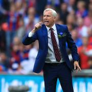 Not blind: Crystal Palace boss Alan Pardew says he 