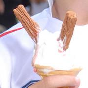 Rogue ice cream sellers are to be frozen out of established pitches
