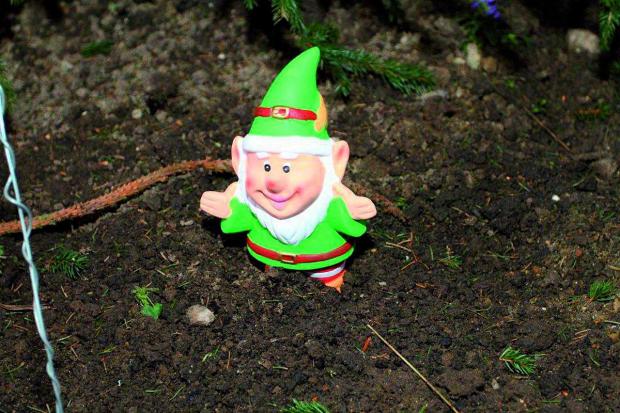 Your Local Guardian: Have you seen the missing gnome?
