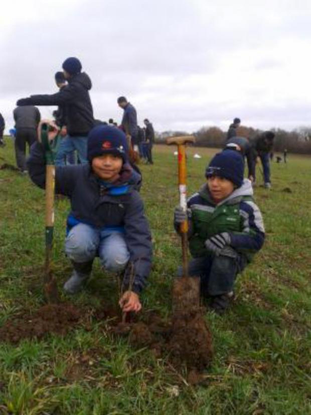 Your Local Guardian: Young Muslims help plant 5,000 trees