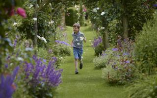 Your guide to summer family fun at National Trust properties in Kent, Surrey and south London 2016