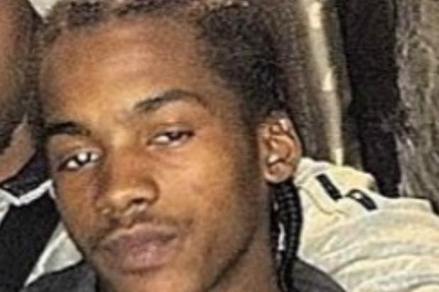 Detectives have hit a wall of silence in the case of Tiny Sneaky, real name Mujaahid Wilson, 20, knifed in the heart in Thornton Heath in March 2016