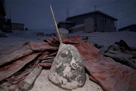 The frozen remains of a Narwhal head in the Canadian High Arctic