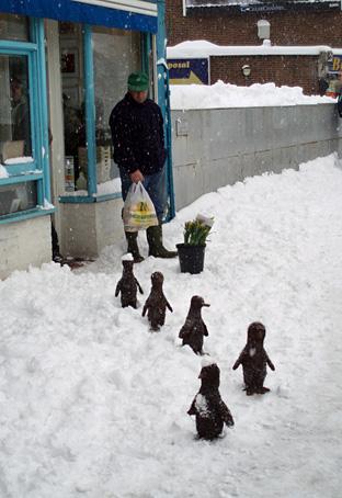Penguins at Sutton Station, captured by Alistair Hutchinson.