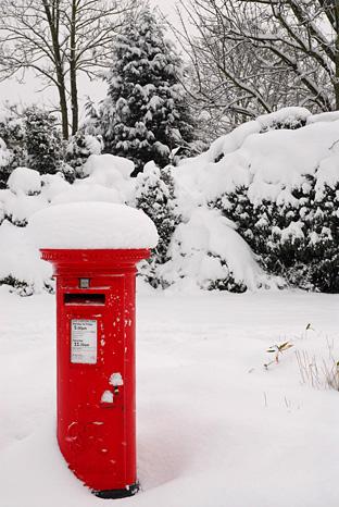 Chessington letterbox, by Riccardo Underhill