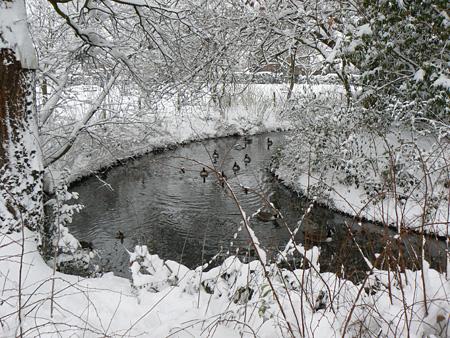 Millers Pond, off Shirley Way in Croydon. By Martin Easton